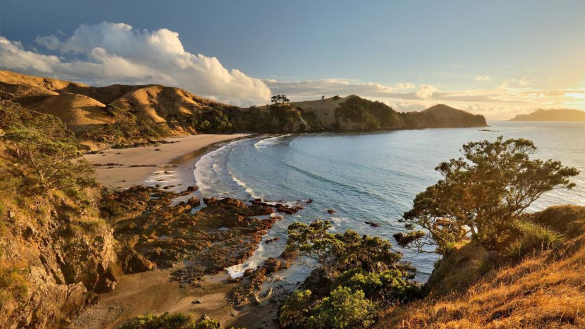 Pest Free Hauraki