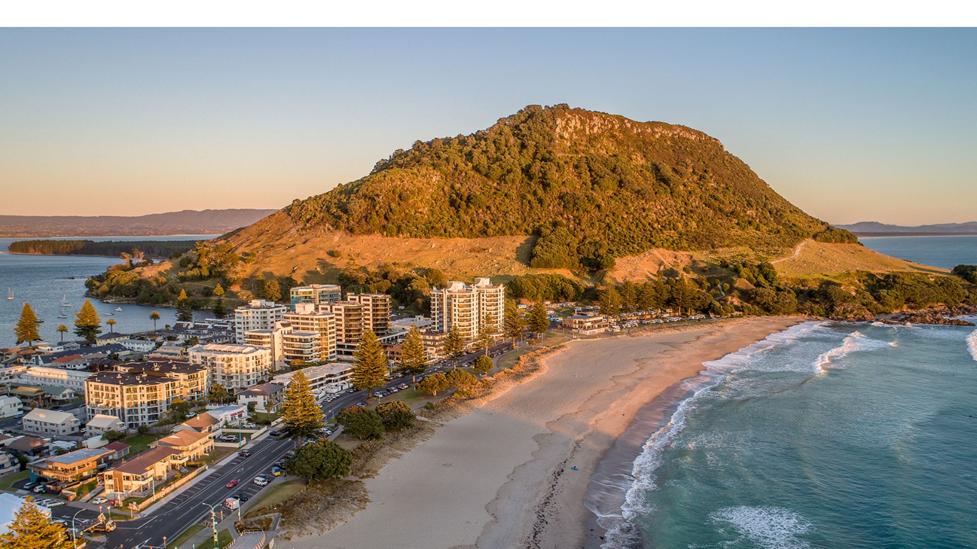 tauranga