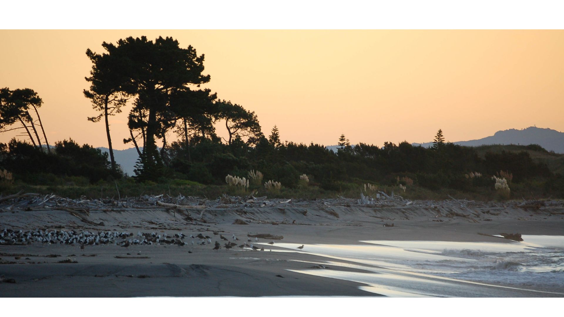 whakatane