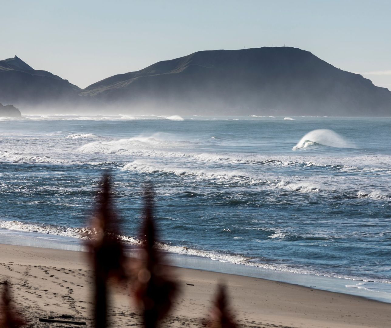 Gisborne