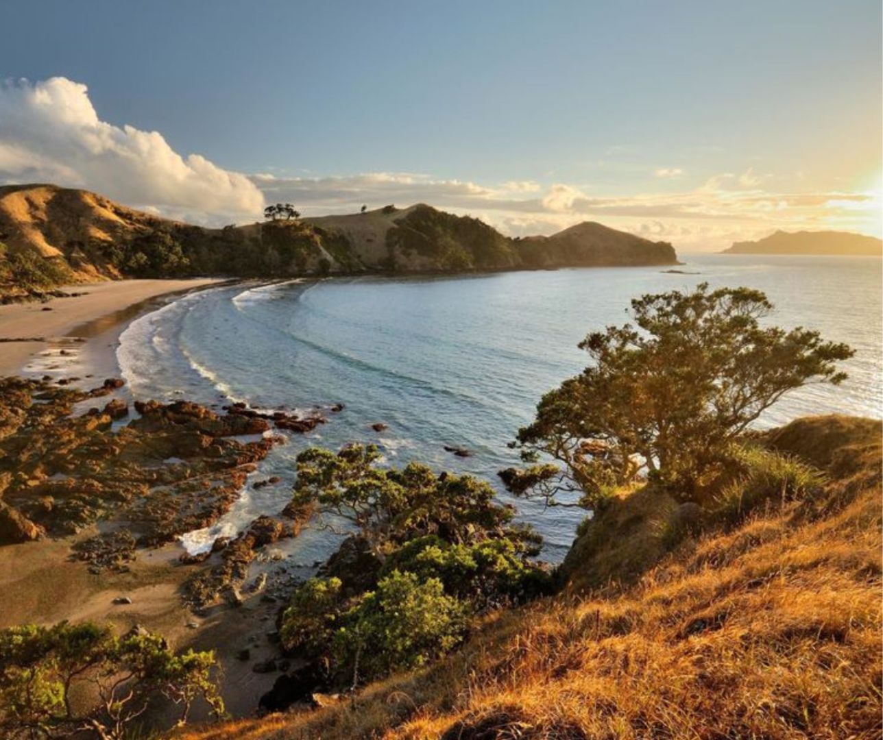 Great Barrier Island