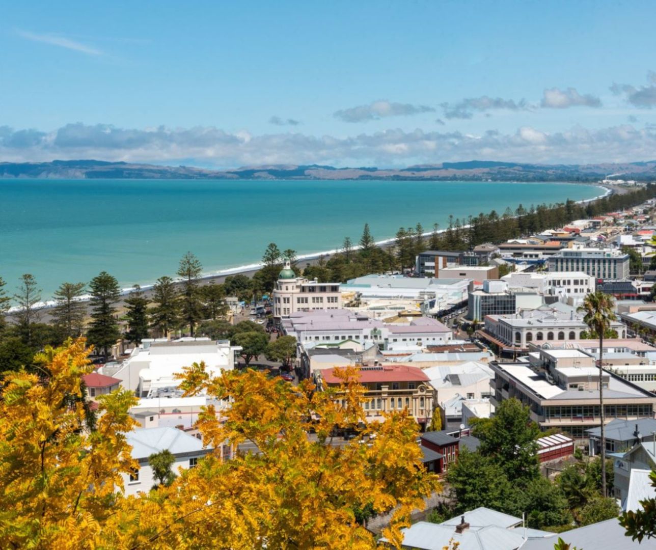 Napier