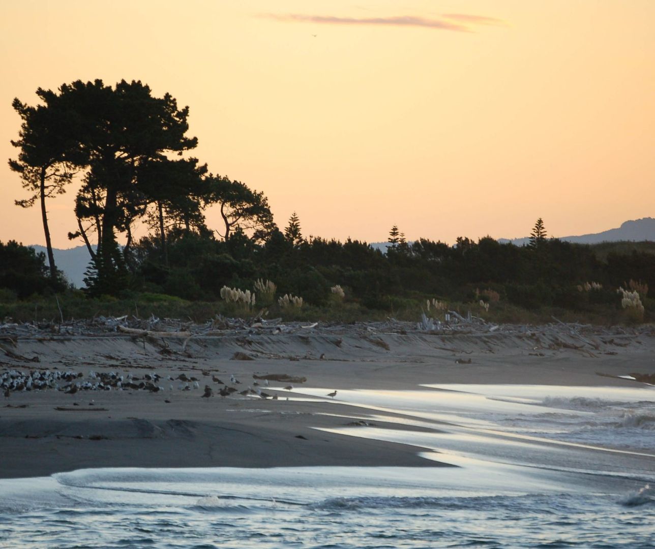 Whakatane